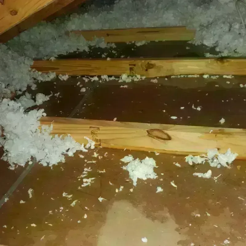 Attic Water Damage in Hewlett Harbor, NY